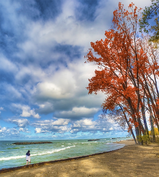 Presque Website-4.jpg
